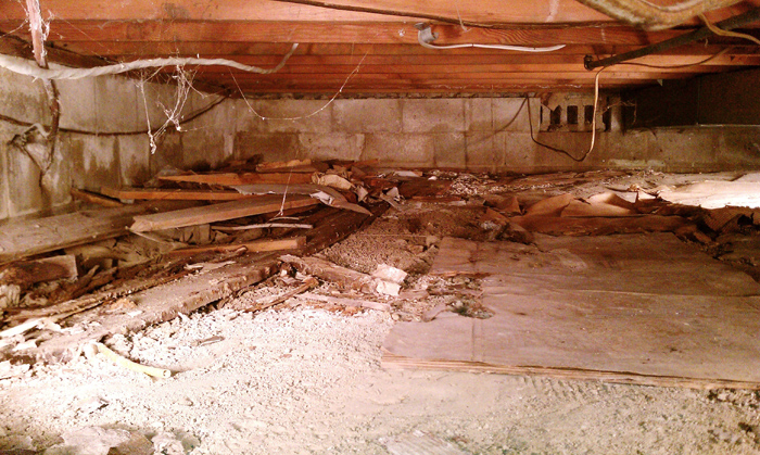 Crawlspace Hazards